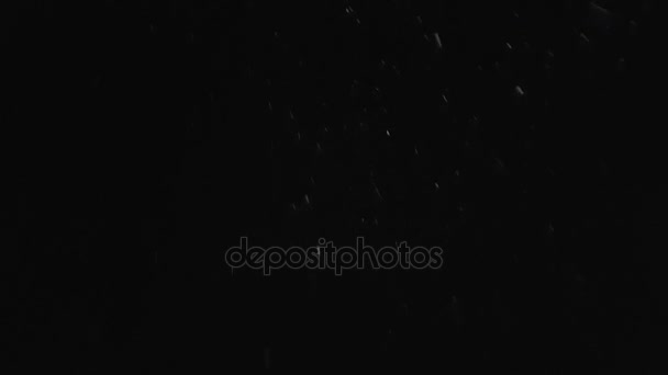 neige tombe lentement dans la nuit hiver 