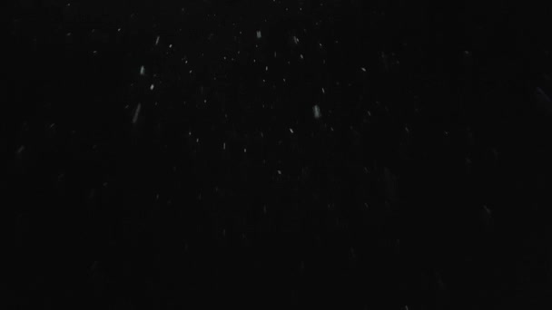 Neve cai lentamente no inverno da noite — Vídeo de Stock