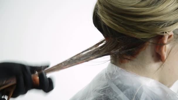 Estilista aplicar coloración de cabello en el cabello de la mujer en el estudio de belleza — Vídeos de Stock