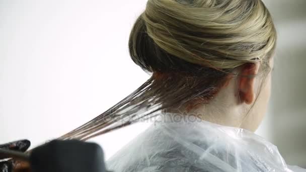 Stylist gäller hår färg på kvinna hår i skönhetsstudio — Stockvideo