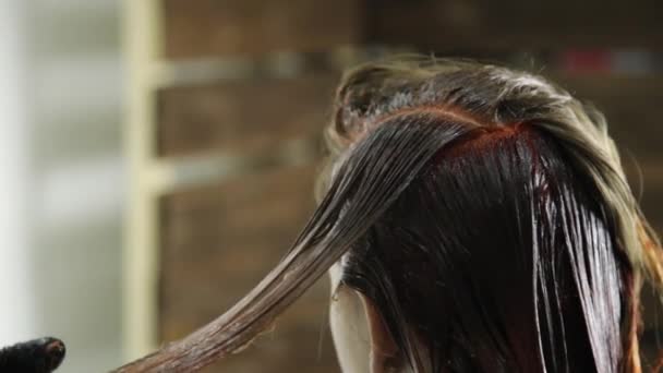 Mulher em um salão de beleza recebe coloração de cabelo — Vídeo de Stock