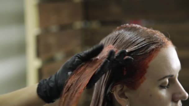 Mulher em um salão de beleza recebe coloração de cabelo. cor rosa para cliente feminino — Vídeo de Stock