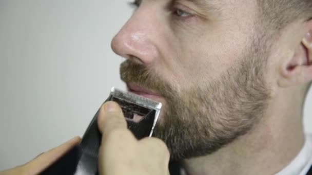 Peluquero hembra arreglando la barba de los hombres. Mujer peluquero haciendo corte de pelo barba hombres adultos — Vídeos de Stock