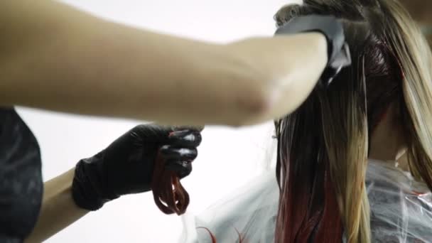 Hoofd van een mooie vrouw met perzik haarkleurmiddelen in een schoonheidssalon — Stockvideo