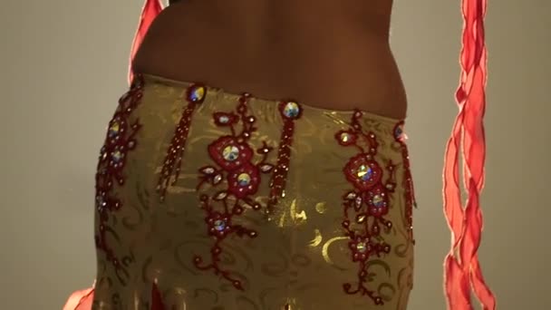 Torso of beautiful young arabian woman dancing oriental belly dance. slow motion — Stock Video