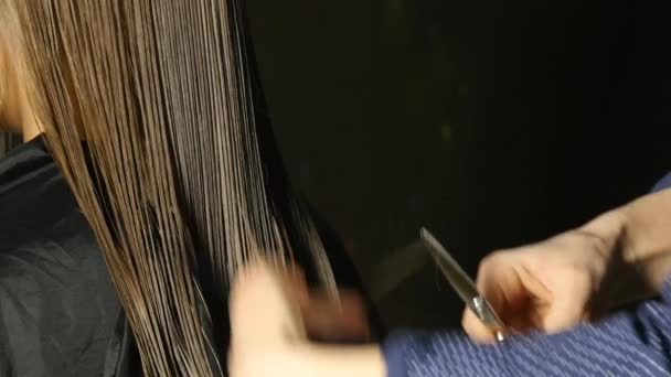 Професійний перукар розділяє нитки для стрижки волосся жіночого клієнта в перукарні. 4-кілометровий — стокове відео