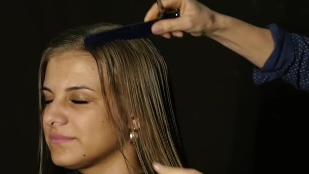 Cabeleireiro está separando um fio de cabelo com pente para cliente feminino no salão de beleza — Vídeo de Stock