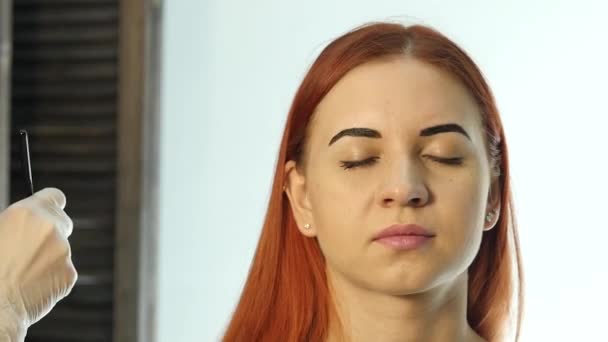 O artista de maquilagem profissional que desenha sobrancelhas do belo cliente. Conceito de beleza e moda — Vídeo de Stock