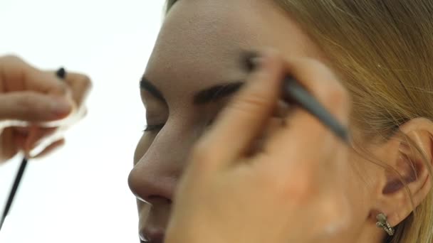 Close-up van professionele Visagist doen dagelijks make-up, zet poeder op dames wangen met borstel — Stockvideo