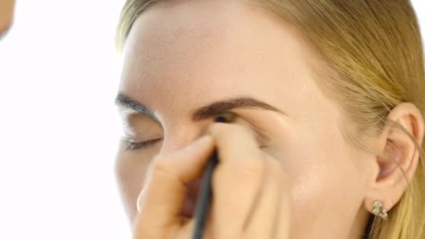 Крупный план профессионального визажиста, делающего ежедневный макияж, накладывающего порошок на женские щеки кисточкой — стоковое видео