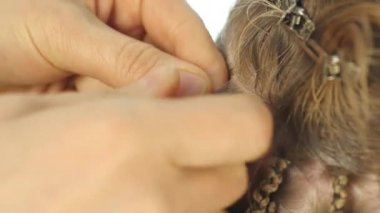 Geleneksel Afrika saç beyaz kadınlar üzerinde. profesyonel kuaför bezleri örgüleri