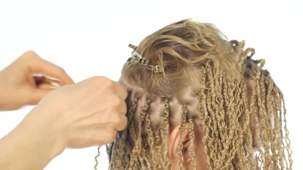 Coiffures traditionnelles africaines sur les femmes blanches. coiffeur professionnel tisse tresses — Video