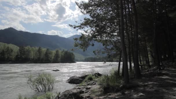 Flujo rápido de agua en el río de montaña, rocas a lo largo de la orilla del río — Vídeos de Stock