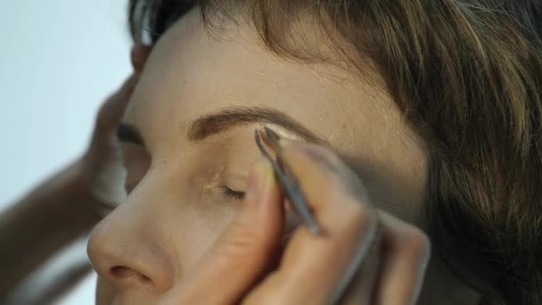 Gros plan d'un maquilleur professionnel qui applique un eye-liner sur la paupière. Styliste fait le maquillage pour les femmes par eye-liner — Video