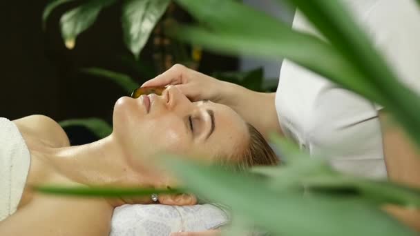 Esthéticienne fait massage facial pour belle femme dans le salon de spa. au ralenti — Video