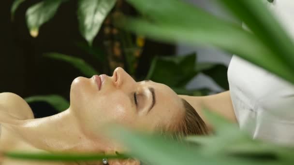 Massagista faz acupressão em um rosto feminino. Medicina alternativa chinesa. 4k — Vídeo de Stock