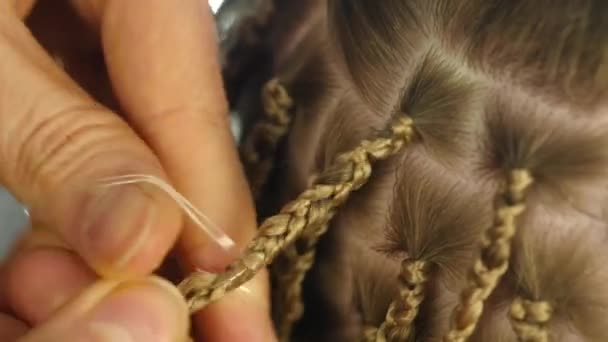 Peinados africanos tradicionales en mujeres blancas. peluquero profesional teje trenzas — Vídeo de stock