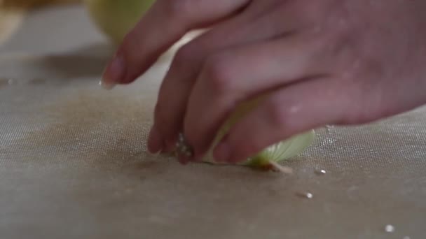 Kadın bir ahşap tahta üzerine soğan keser. ağır çekim — Stok video