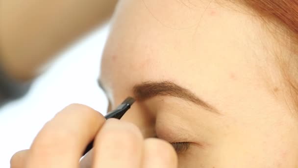 Primer plano maquillaje artistas manos usando cepillo para pintar las cejas para un hermoso cliente. cámara lenta — Vídeo de stock