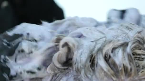 Close-up mani parrucchiere rende il colore dei capelli, bionda, tinge i capelli in blu . — Video Stock