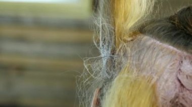 Kuaför Güzellik Salonu bir genç için boya saç modeli, yapar. Saç boya kaplı. 4k