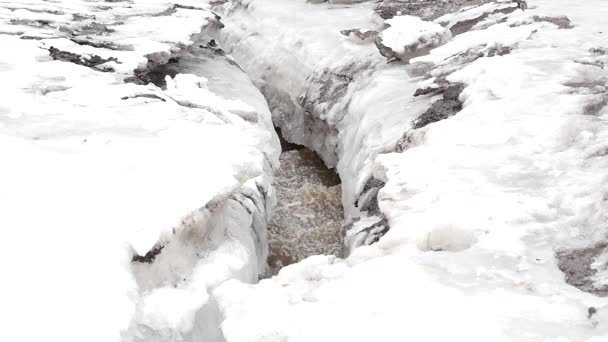 Küçük nehir ilkbaharda buzun içine akar. ağır çekim — Stok video