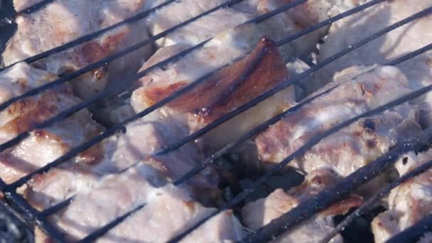 Grill med saftigt kött på grillen utomhus. glödande kol och rök. 4k — Stockvideo