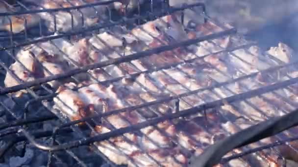 Barbecue with juicy meat on the grill outdoor. hot coals and fumes. timelapse — Stock Video