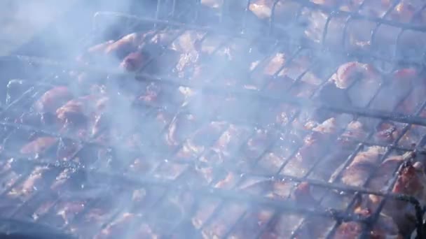 Barbecue with juicy meat on the grill outdoor. hot coals and fumes. 4K — Stock Video