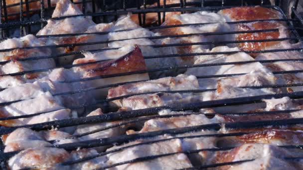 Barbacoa al aire libre, carne jugosa en la parrilla. carbones y humos calientes. 4K — Vídeos de Stock