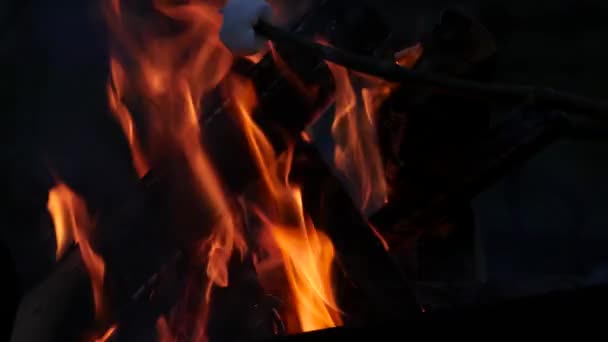 Il marshmallow sugli spiedini è fritto sul rogo. 4K — Video Stock