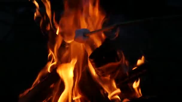 Marshmallow brochettes is gebakken op de brandstapel. Slow motion — Stockvideo