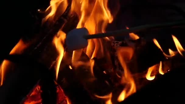 La guimauve sur les brochettes est grillée sur le bûcher. au ralenti 