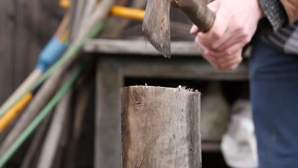 Holzfäller hacken Brennholz mit der Axt, Stämme spalten. Holz spalten und Brennholz schneiden. Zeitlupe — Stockvideo