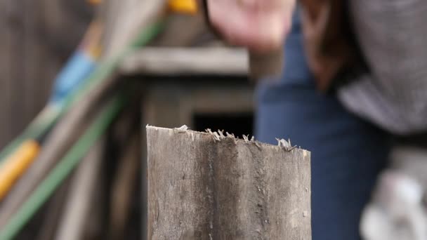 Sciages coupant du bois de chauffage à la hache, fendage des billes. fendre le bois et couper le bois de chauffage. au ralenti — Video