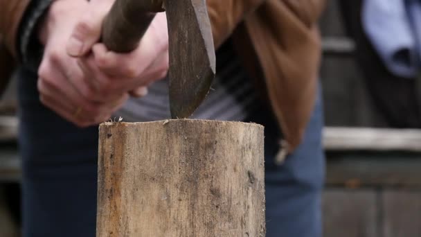 Lumberjack splitting wood and cutting firewood with old axe. slow motion — Stock Video