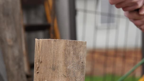 Houthakker splitsing van hout en snijden brandhout met oude bijl. Slow motion — Stockvideo