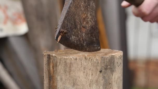 Ξυλοκόπος διάσπαση ξύλο και κοπή καυσόξυλων με παλιό τσεκούρι. αργή κίνηση — Αρχείο Βίντεο