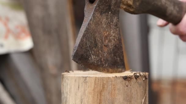 Madera aserrada que parte madera y corta leña con hacha vieja. Moción lenta — Vídeos de Stock