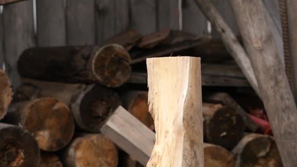 Sciages coupant du bois de chauffage, fendant du bois avec hache. au ralenti 