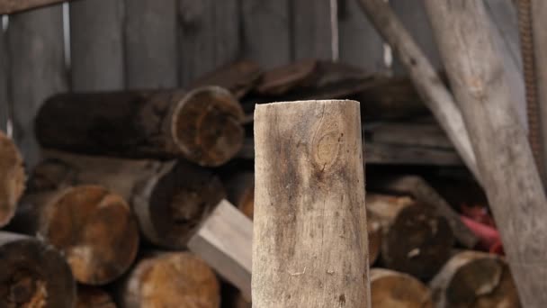 Lumberjack chopping firewood, splitting wood with axe. slow motion — Stock Video