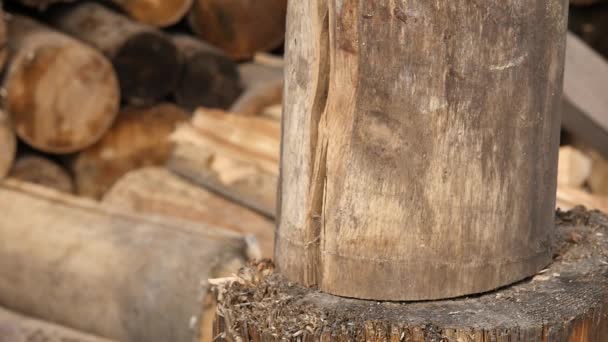 Woodsheds 和砍柴, 伐木工人用旧斧头劈木头。慢动作 — 图库视频影像