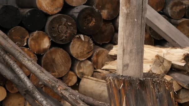Woodsheds en hakken brandhout, houthakker splitsing van hout met oude bijl. Slow motion — Stockvideo