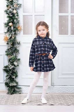 Yedi yıllık kestane renginde saçlı tatlı bir küçük kız kameraya poz Katlanır Kapılar, parlak bir hücrede mavi elbiseli bir Noel tarzında dekore edilmiş arka plan üzerinde duruyor