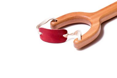 Beyaz arka plan üzerinde izole meşe ağacından muhteşem sapan