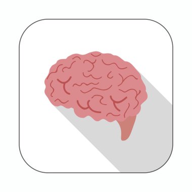 Beyin uzun gölge düz simgesi. İnsan beyni vektör çizim.