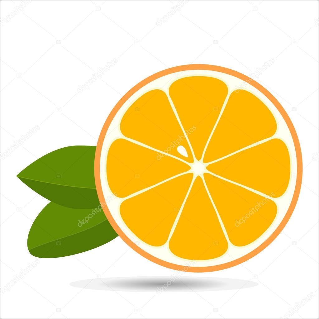 Orange slice with leaves isolated on white background. Vector illustration for decorative emblem natural product, farmers market.