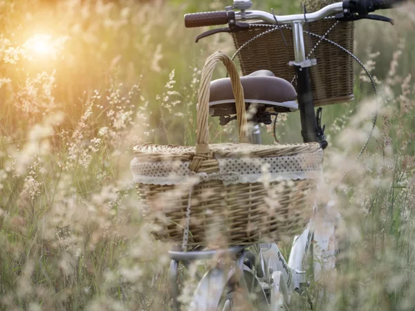 초원에서 꽃 바구니 자전거, 선택 및 소프트 포커스 — 스톡 사진
