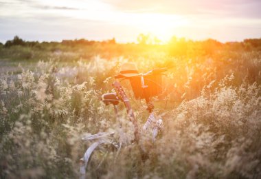 Sepet ve gitar çayır çiçek dolu, select ve yumuşak odak ile Bisiklet