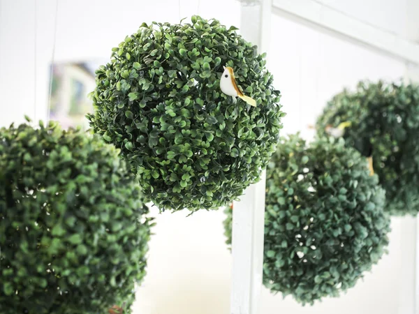 Arbusto en forma de corazón — Fotos de Stock © Satura_ #78704528